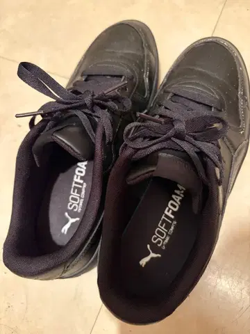 PUMA SOFTFOAM 스니커즈 US8 26cm 블랙 블랙