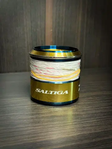 20 솔티가 10000 SLP 스풀