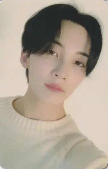SEVENTEEN 정한 2020 SEASON'S GREETINGS