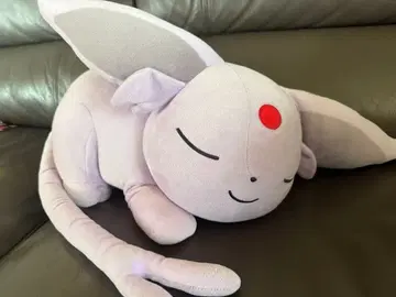 포켓몬 스야스야 에브이