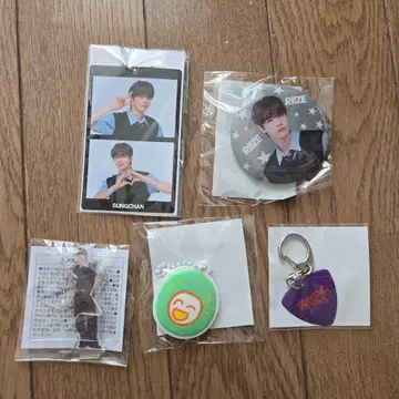 RIIZE 성찬 랜덤 토이