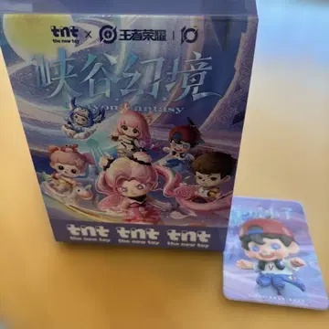 tnt x 왕자영요 캐릭터 컬렉션