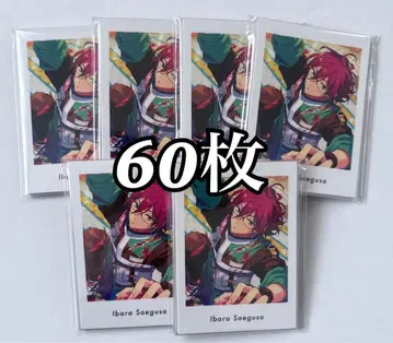 앙스타 파샤츠 이바라