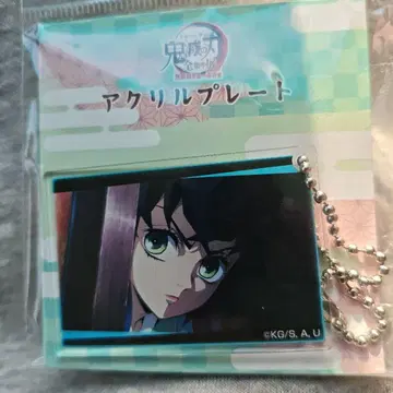 귀멸의 칼날 전집중전 무한열차편 유곽편 아크릴 플레이트 하시비라 이노스케