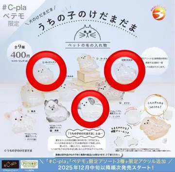 우리 아이 털뭉치 믹스 포메라니안 삼각 늘어진 귀 3개 세트