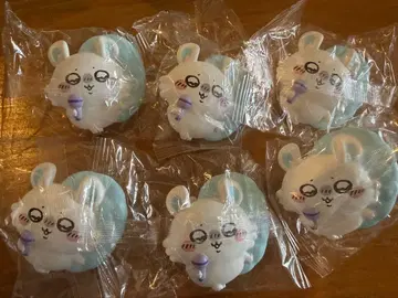 치이카와 클립 라이트 모몽가 6개 세트