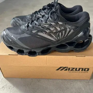 mizuno WAVE PROPHECY LS GTX 27.5
