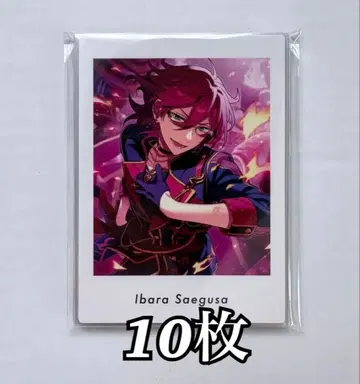 앙스타 파샤츳 이바라