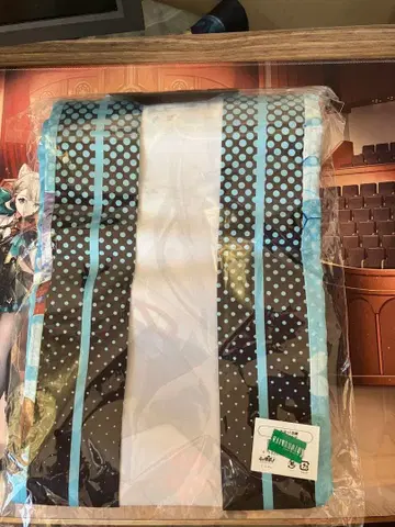 브이스포 아이자와 에마 핫피