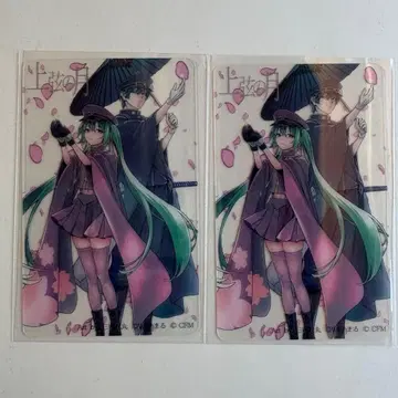 센본자쿠라 VOCALOID 하츠네 미쿠 KAITO