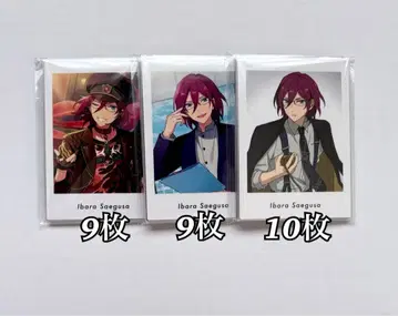 앙스타 파샤츠 이바라