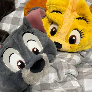 레이디와 트램프 카드놀이 레이디 팬캡 세트