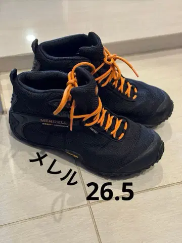 머렐 카멜레온 스톰 미드 고어텍스