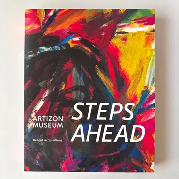 도록 아티존 미술관 STEPS AHEAD