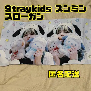 2 Straykids 승민 슬로건 스키즈