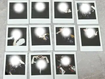 꿈 먹는 NEON 사쿠 솔로 폴라로이드 11장