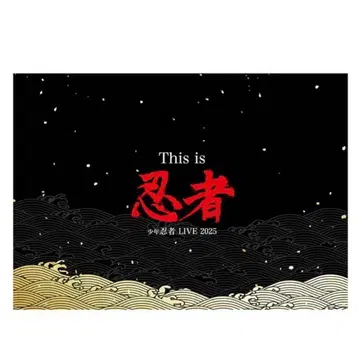 소년 닌자 인 컬렉션 카드 빠짐 없음