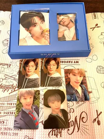 세븐틴 디노 트레이딩 카드