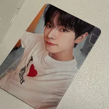 엔시티위시 스테디 티셔츠 유우시 포카 양도 시온 리쿠 사쿠야 팝팝