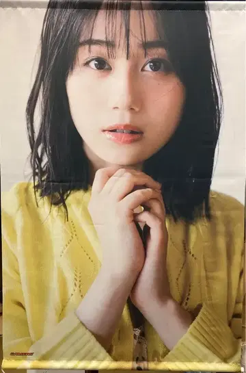 Sheer 게이머즈 한정판 이토 미쿠 B2 태피스트리 게이머즈