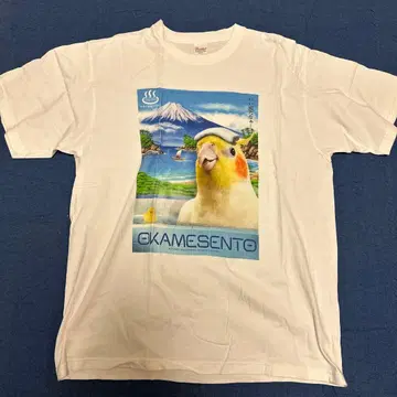 오카메앵무새 T셔츠