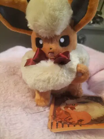 이브이 컬렉션 부스터