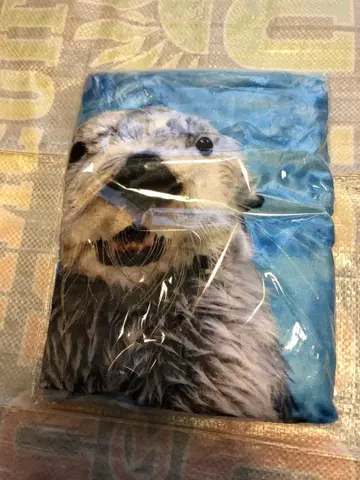 도바 수족관 랏코 메이짱 키라짱 담요