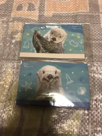 도바 수족관 메이짱 키라짱 메모 패드