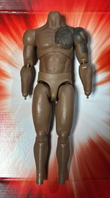 1/6 핫토이즈 GI JOE 로드 블록 소체 드웨인 락