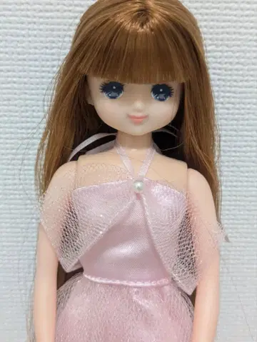 리카짱 캐슬 파니짱