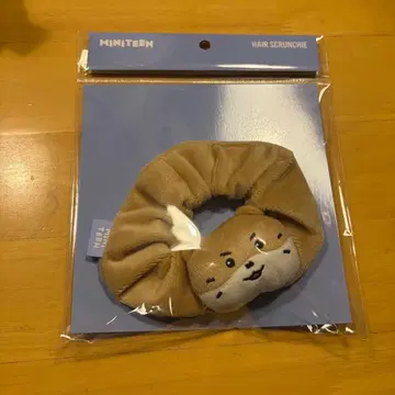 SEVENTEEN MINITEEN 스크런치 디노 찬다리 세부치