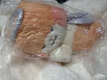 zeroni 비니니 엔젤 천사 봉제 인형 한빈