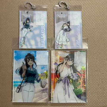 청춘 돼지 시리즈 청돼 사쿠라지마 마이 아크릴 플레이트, 스티커 각 2개