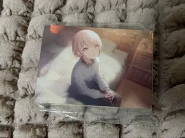 프로세카 아키야마 미즈키 노블 아트 45