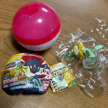 포켓몬 기술머신 컬렉션 새상품 해바라기 씨기관총 레어 레어템