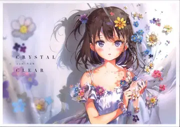 이치진샤 Anmi CRYSTAL CLEAR Anmi 작품집