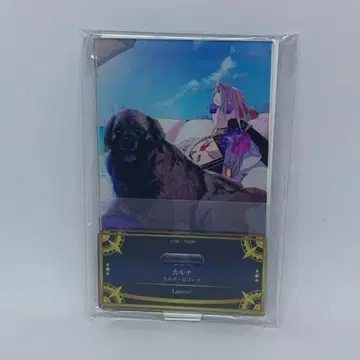 Fate FGO 카르나 영의 카르나 여름 코디 최종 재림전 아크릴 스탠드