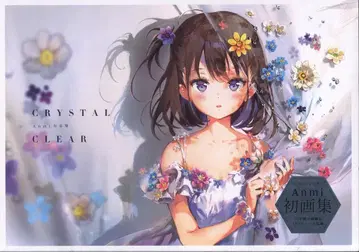 이치진샤 Anmi CRYSTAL CLEAR Anmi 작품집