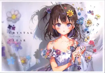 이치진샤 Anmi CRYSTAL CLEAR Anmi 작품집