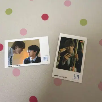 수학여행에서 사이 안 좋은 그룹에 들어갔습니다 폴라로이드풍 카드