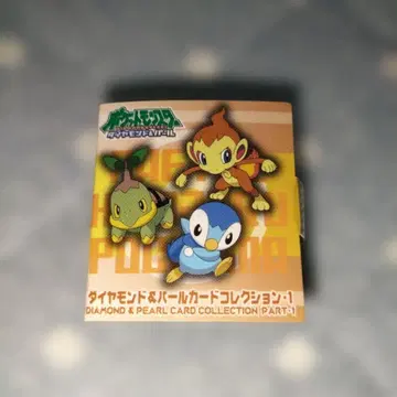 포켓몬스터 다이아몬드 펄 카드 컬렉션