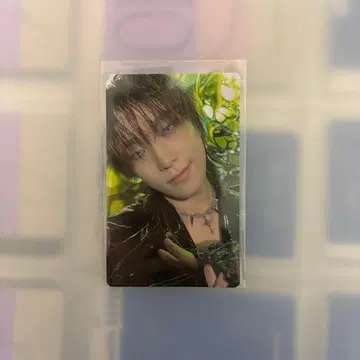 SEVENTEEN 디노 weverse 한국 럭키 드로우