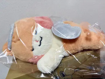 [ 한빈 트레이딩 카드 포함 ] zeroni 봉제 인형 비니니 천사 눕기