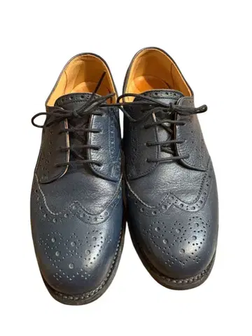 스코치 그레인 윙팁 레더 슈즈 네이비 24cm