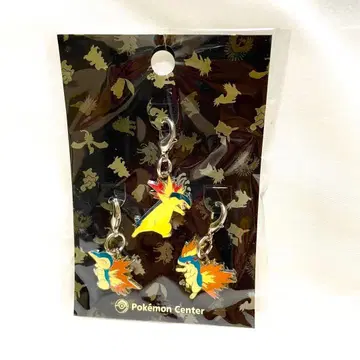 포켓몬 메탈참 히노아라시 마그마라시 바쿠훈