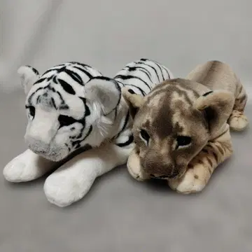 화이트 타이거 + 암컷 사자 리얼 봉제 인형 2체 세트