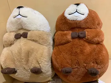 말랑 비버 터치 울트라 BIG 2종 세트