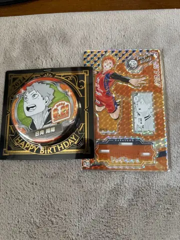 하이큐 생일 명장면 디오라마 피규어 히나타 쇼요