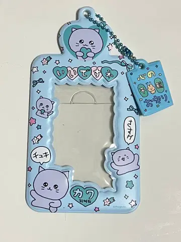 최고심 참 포함 사진 키링 트레이딩 카드 케이스 블루 고양이심