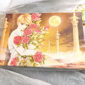 [최종 가격 인하] 시미즈 레이코 원화전 월의 아이 moon chiid